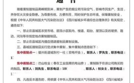 加气站顶篷炸出窟窿(极目爆炸顶篷汽车巴中)