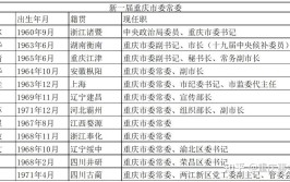 重庆市政府领导班子重大调整一半新面孔