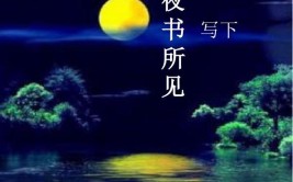 夜半钟声是为了突出什么样的环境