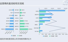 前三强占据国内超一半市场(充电基础设施国内全国增量)