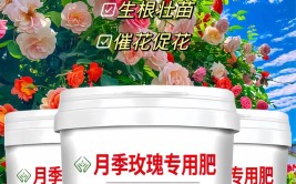 养花草用什么肥料比较好