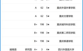 2024年重庆的一本大学排名一览表