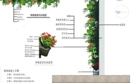 园林垂直绿化苗木植物的栽培与养护方法建议收藏