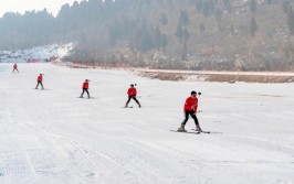 肥城市泰西雪山峪滑雪场盛大开业！滑雪、嬉雪~约起来！(滑雪场雪山开业泰西泰山)