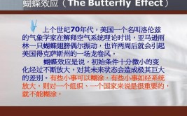 引发蝴蝶效应的那一次翅膀扇动 如何在南沙诞生的(南沙溯源全球体系监管)