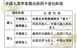 原始社会分为哪三个阶段