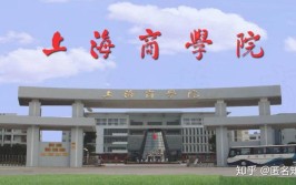 奉贤大学城有哪些大学