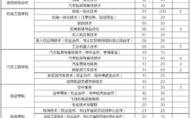 山东理工大学中外合作办学专业有哪些？