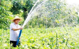 9张图皖北农村大叔每日汗流浃背辛苦修农机 最后一张图看了很温馨很幸福让人羡慕(大叔看了让人农机农村)