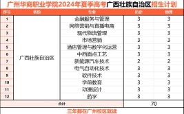 广州软件学院2021年夏季高考招生章程