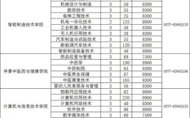 2024南阳职业学院艺术类学费多少钱一年