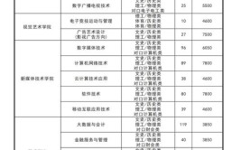 2024湖南大众传媒职业技术学院单招学费多少钱一年