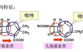 动物药学就业方向有哪些