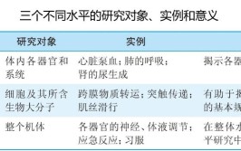 生理学主要从哪三个不同水平进行研究