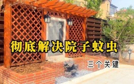 了解这三种方法庭院蚊虫再多也不怕