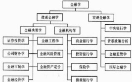 金融学主要学什么