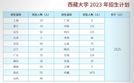 重庆化工职业学院2023年在西藏各专业招生人数