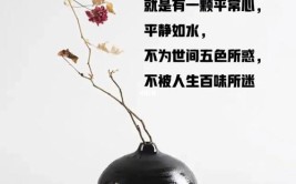 20句养花修身养性的话让你在花香中找到内心的平静