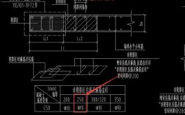 构造边缘和约束边缘的区别