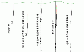 这才是保养浮漂的正确姿势(浮漂保养钓鱼看看吧姿势)