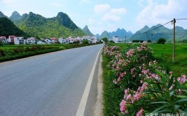 桂林最美的农村公路原来在这里 一路风景美到落泪(荔浦农村公路农村道路公交)