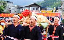 盘王节是哪个民族的节日