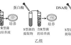 河南原阳：“汽配谷”在黄河北岸顺风起势(汽车原阳汽车零部件管路产品)