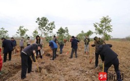 南京义务植树3月4日起报名今年有6个植树基地等您添绿