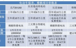 维修成本有多高？(电池万元新能源成本电车)