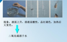 二氧化硫溶于水生成什么