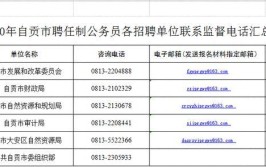 年薪最高30万 四川自贡首次公开招聘5名聘任制公务员