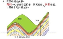 地台活化的概念(构造活动背斜向斜台上)