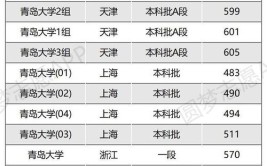 青岛大学是211还是985山东