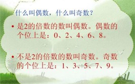 0是奇数还是偶数官方回答