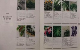 植物不要随便养小心处理不当绿植变过敏源