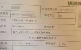 15岁少年上网自学“开车”100公里！网友：考驾照的我惊呆了(驾驶证少年上网惊呆机动车)