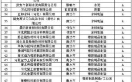 2020年河北省重污染天气重点行业绩效评级A、B级和引领性企业名单(有限公司彩印股份有限公司科技有限公司有限责任公司)