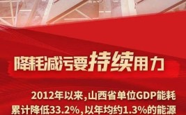 提质增效 转型推动高质量发展——2017年中国华电发展回眸之二(国华公司发展变革高质量)