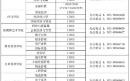 重庆财经学院艺术类学费多少钱一年