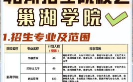 巢湖学院有哪些学院？