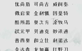 这份公司取名字参考大全让你名利双收(寓意行业名字公司等行业)