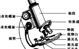 光学显微镜由哪三部分组成