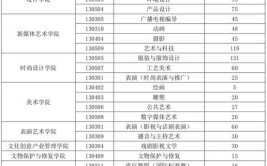 2024美术艺考220文化课300分能上什么学校