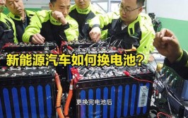 特别是电池，是不是就得换车？(电池新能源换车就得质保)