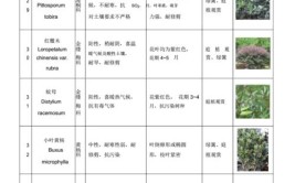 最全284项植物新品种测试标准化管理标准目录清单