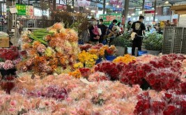 三圣花市焕新归来 好看花花闭眼入