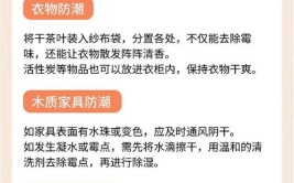 如何打破“被潮湿支配”的恐惧？家居板材有讲究！(板材梅雨季家居防潮支配)