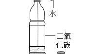 二氧化碳溶于水是什么变化