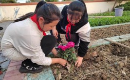 孝义宋家庄小学开展绿植养护劳动教育活动