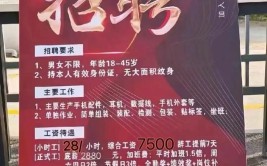 八月热门岗位招聘(岗位工资白班工作小时)